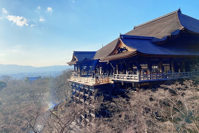 Kyoto 6h Private Tour Fushimi Inari, Kiyomizu, Gion & Hidden Gems - Sanjusangendo and its remarkable wooden hall
