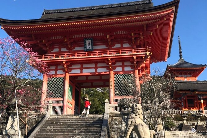 Kyoto 6h Private Tour Fushimi Inari, Kiyomizu, Gion & Hidden Gems - Chishaku-in, a quieter garden pause