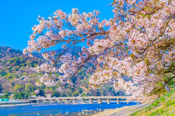 Kyoto 6hr Instagram Highlights Private Tour with Licensed Guide - Is $154.37 per person a fair price?