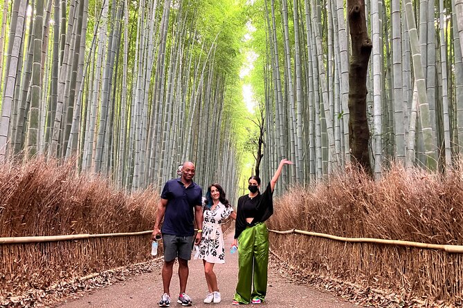 Kyoto 8hr Private Tour with Government-Licensed Guide - Northern Kyoto: gold leaf, stone gardens, and temple quiet