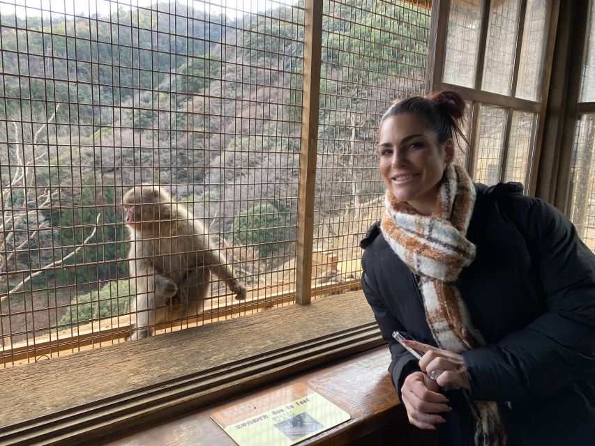 Kyoto: Afternoon Bamboo Forest and Monkey Park Bike Tour - Bamboo Forest: beautiful, brief, and best with context