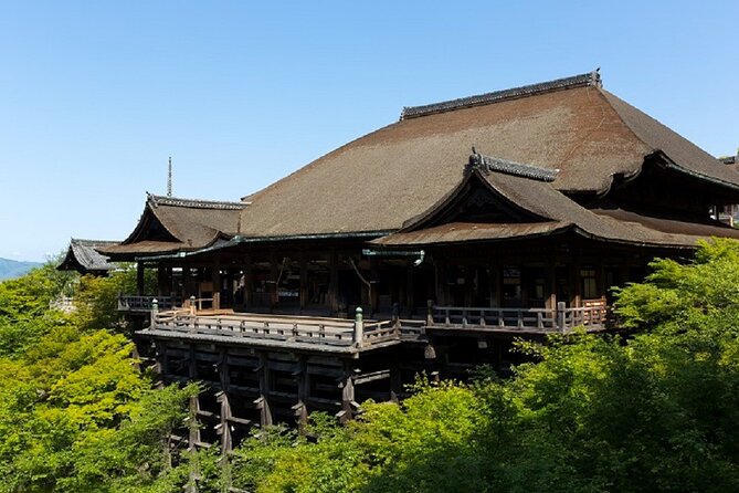 Kyoto Afternoon Tour from Kyoto or Osaka - What the guide adds to the afternoon