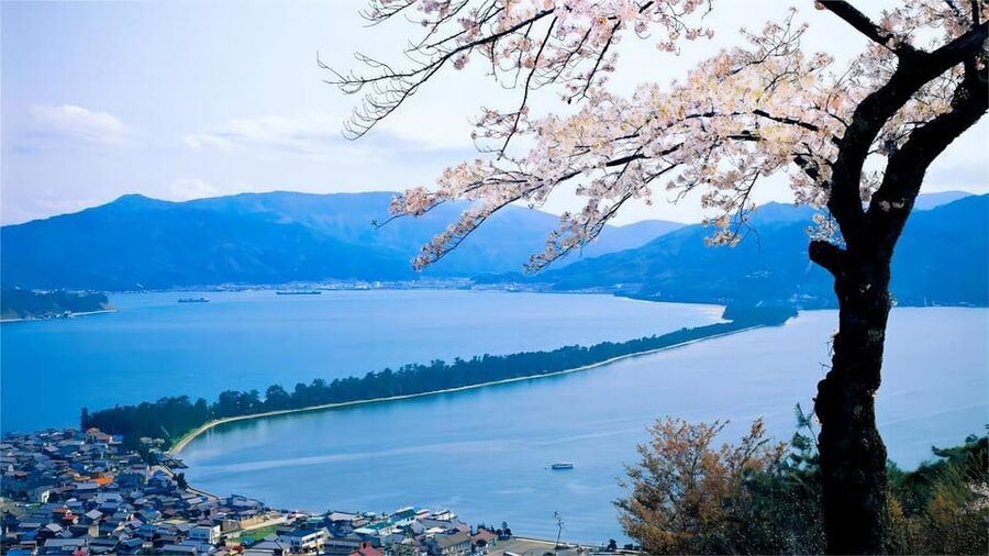 Kyoto: Amanohashidate Ine Funaya Tour - Ine’s boat houses are the day’s most unusual sight
