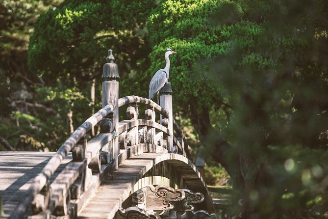 Kyoto and Nara Day Trip from Kyoto - The ride to Nara gives the day a second rhythm