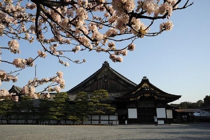 Kyoto and Nara Day Trip from Kyoto - Kasuga Shrine brings you into Nara’s sacred forest
