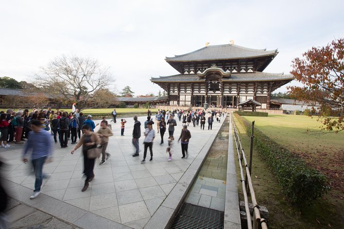 Kyoto and Nara Day Trip from Kyoto - Nara’s deer are charming, but keep your wits about you
