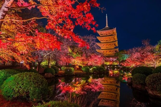 Kyoto and Nara Private Car Tour with a Local English Guide Driver - What this private Kyoto and Nara day really offers