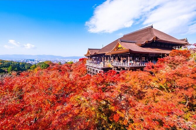 Kyoto and Nara Private Car Tour with a Local English Guide Driver - Arashiyama has more than one famous view
