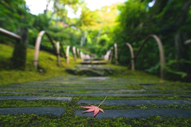 Kyoto Arashiyama Bamboo forest & Garden Half-Day Walking Tour - Okochi Sanso Garden and mountain views