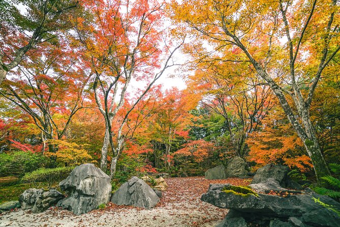 Kyoto Arashiyama Bamboo forest & Garden Half-Day Walking Tour - Tenryuji Temple and Zen explanations