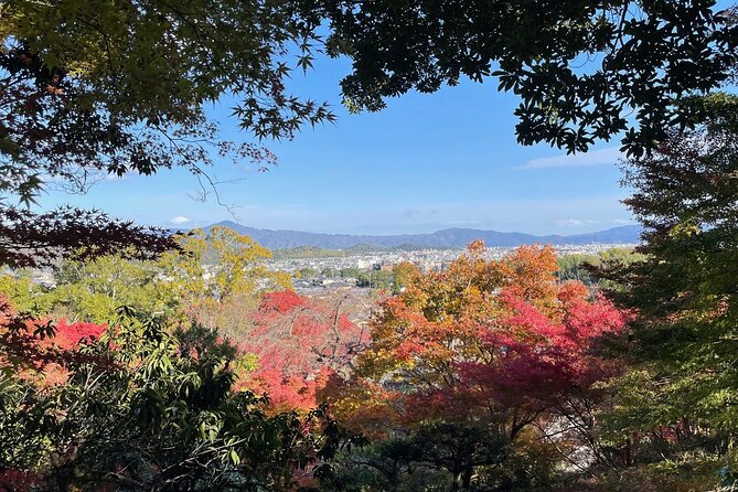Kyoto Arashiyama Bamboo Forest Hiking Tour(Hidden Temples) - Walking through the Arashiyama Bamboo Forest