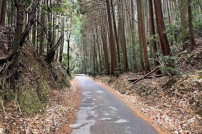 Kyoto Arashiyama Bamboo Forest Hiking Tour(Hidden Temples) - The uphill trail and Kyoto viewpoints