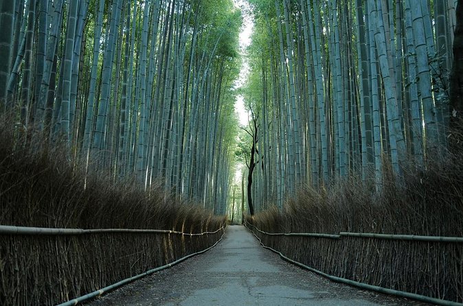 Kyoto Arashiyama Bamboo Forest Hiking Tour(Hidden Temples) - Adashino Nenbutsu-ji and its 8,000 statues