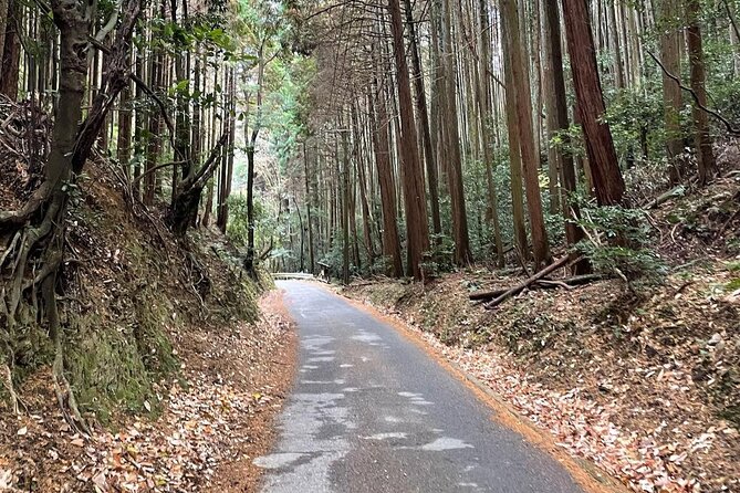 Kyoto Arashiyama Bamboo Forest Hiking Tour(Hidden Temples) - Who should book this Kyoto hike?