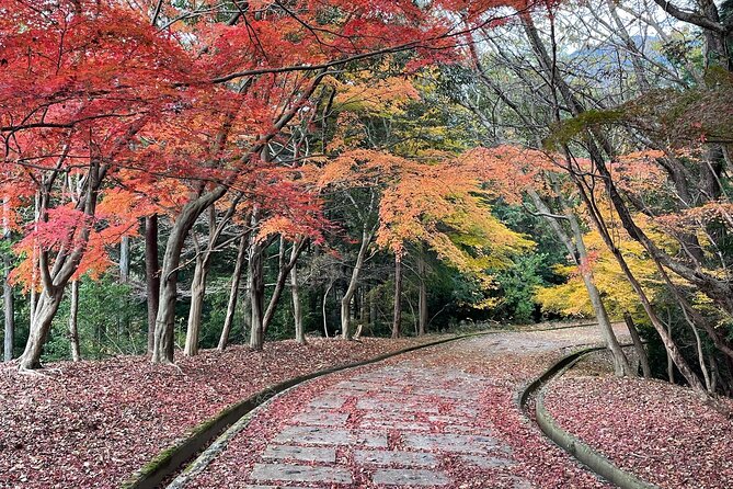 Kyoto Arashiyama Bamboo Forest Hiking Tour(Hidden Temples) - Meeting your guide at Saga-Arashiyama Station