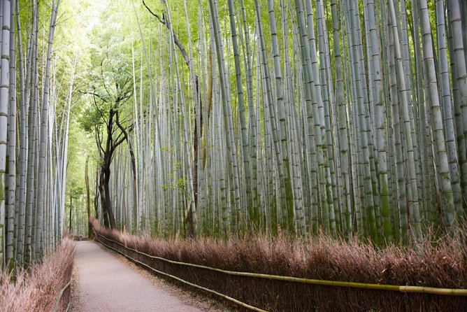Kyoto Arashiyama Bamboo Forest & Scenery Customized Private Tour - Why a private walk works well in Arashiyama