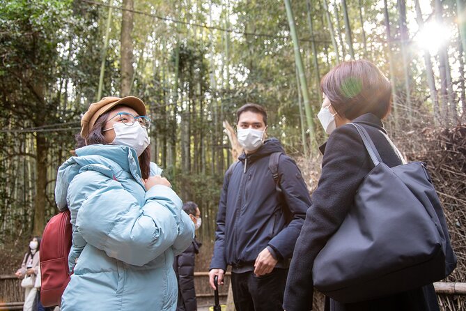 Kyoto Arashiyama Bamboo Forest & Scenery Customized Private Tour - Giōji and the story behind the moss