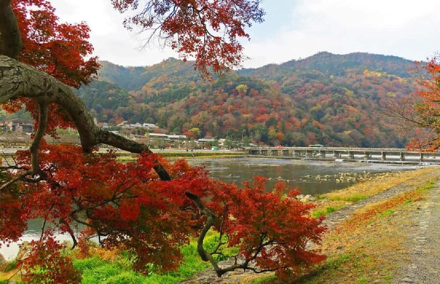 Kyoto: Arashiyama Bamboo, Togetsukyo bridge, Sanso, and more - Timing, fitness, and practical details