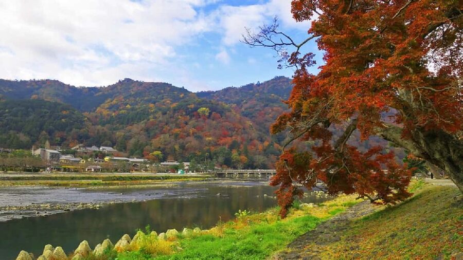 Kyoto: Arashiyama Bamboo, Togetsukyo bridge, Sanso, and more - Kimono Forest brings a modern finish