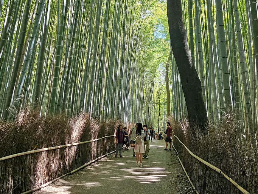 Kyoto: Arashiyama Bamboo, Togetsukyo bridge, Sanso, and more - What the guide adds to the route