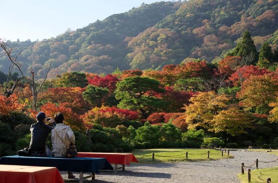 Kyoto: Arashiyama Bamboo, Togetsukyo bridge, Sanso, and more - Starting in the Sagano Bamboo Forest