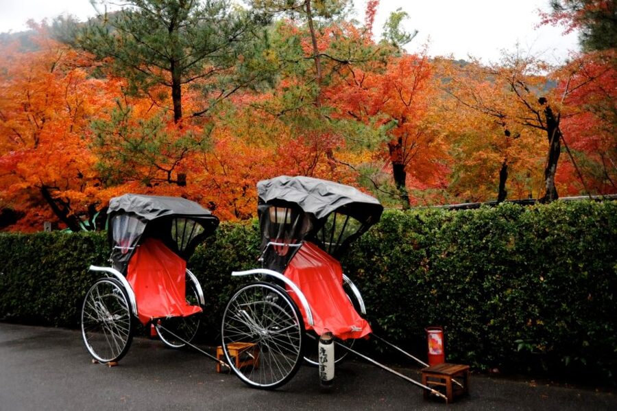 Kyoto: Arashiyama Customized Rickshaw Tour & Bamboo Forest - Should You Book This Arashiyama Rickshaw Tour?