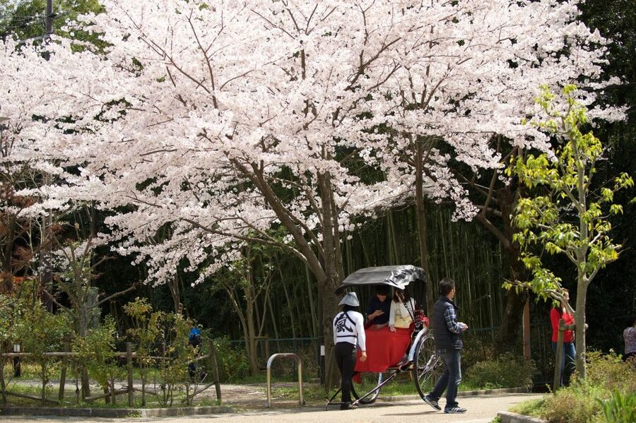 Kyoto: Arashiyama Customized Rickshaw Tour & Bamboo Forest - What the Guides Add