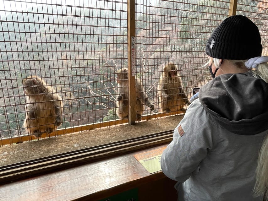 Kyoto: Arashiyama Guided Tour, Bamboo, Monkey, Zen Temple - Five things to know before you book