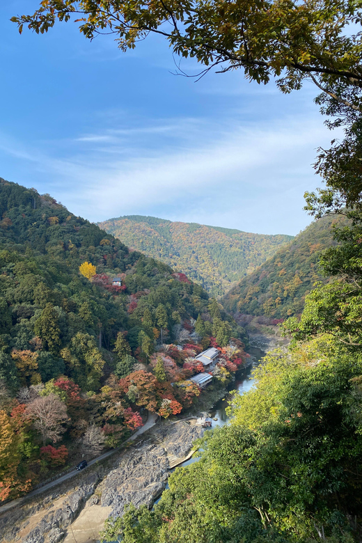 Kyoto: Arashiyama Guided Tour, Bamboo, Monkey, Zen Temple - Walking through the Arashiyama Bamboo Forest