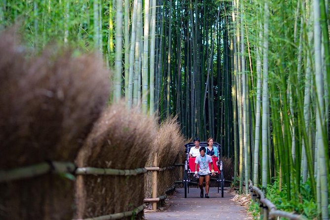 Kyoto Arashiyama Rickshaw Tour with Bamboo Forest - The 30-minute walk into the most famous grove