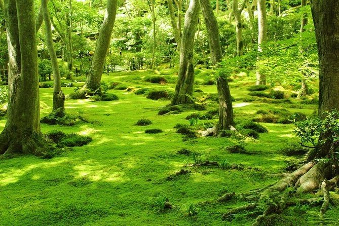 Kyoto Arashiyama & Sagano Bamboo Private Tour with Government-Licensed Guide - Gio-ji and the mossy side of Sagano