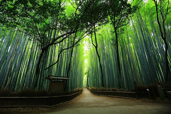 Kyoto Arashiyama & Sagano Bamboo Private Tour with Government-Licensed Guide - Starting at Togetsukyo Bridge and Arashiyama