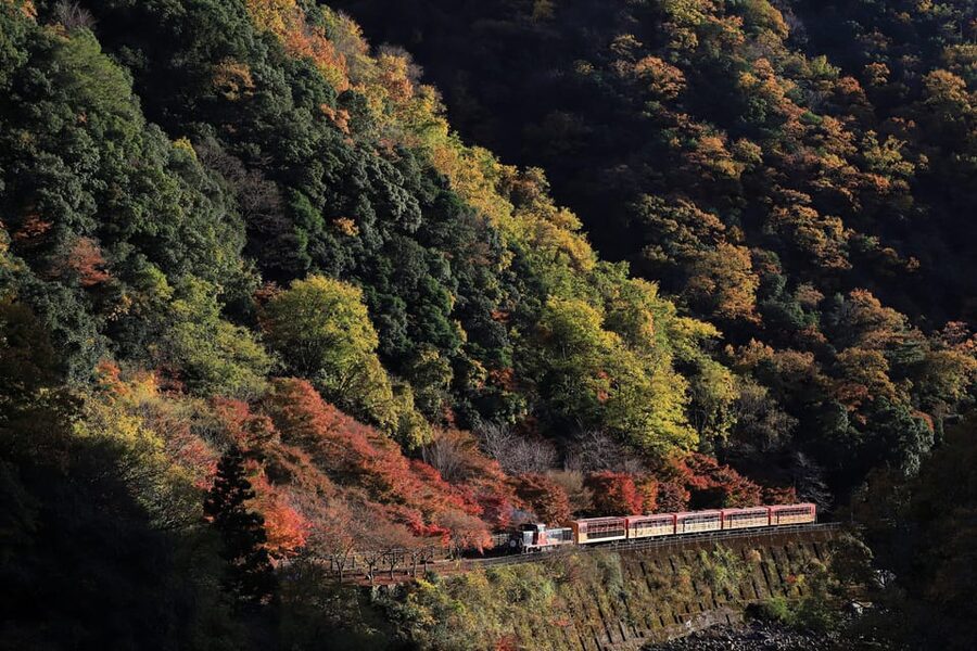 Kyoto: Arashiyama Tour with optional Sagano Romantic Train - Why this Arashiyama tour works well in half a day