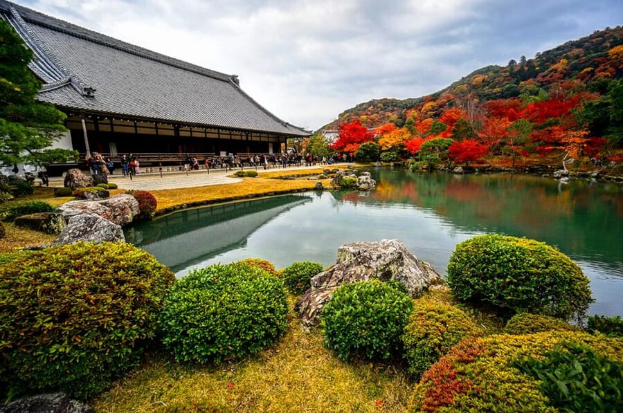 Kyoto: Arashiyama Tour with optional Sagano Romantic Train - What the guides add
