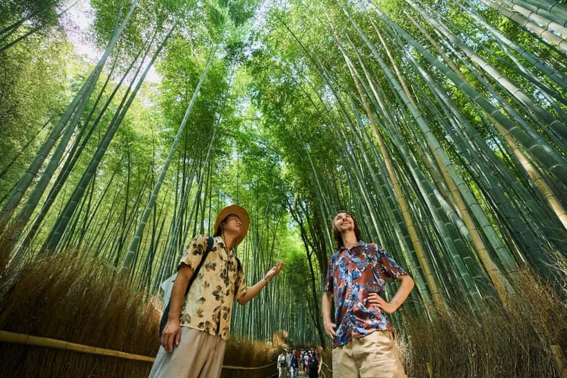 Kyoto: Arashiyama UNESCO Walking Tour with Admission - Nonomiya Shrine and the meaning of a short stop