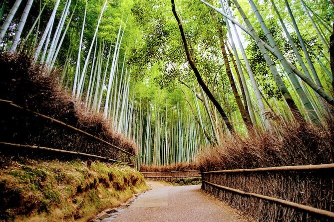 Kyoto Arashiyama Walking Tour: Bamboo, Monkeys, Gardens & Secrets - Okochi Sanso Garden, a quieter change of pace
