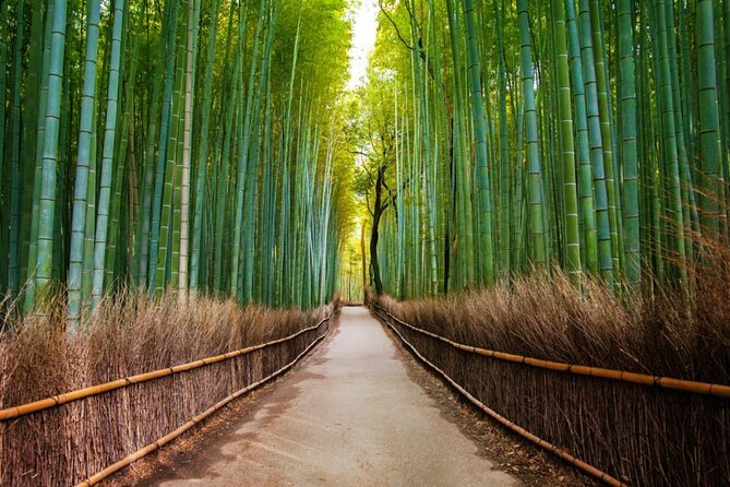 Kyoto Arashiyama Walking Tour: Bamboo, Monkeys, Gardens & Secrets - Togetsukyo Bridge and the Hozu River