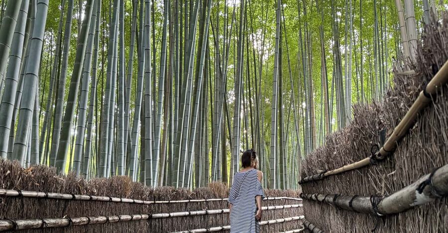 Kyoto: Avoid the Crowds at the Hidden Gems of Arashiyama - Why this Arashiyama route feels different