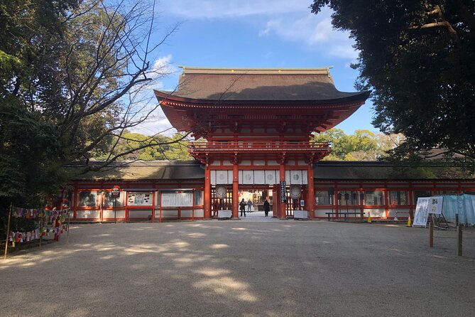 Kyoto Bamboo Forest & Golden Pavilion E-Bike Tour - Arashiyama Bamboo Forest and the reality behind the photos