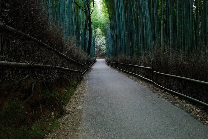 Kyoto Bamboo Forest & Golden Pavilion E-Bike Tour - Is $99.08 a fair price?