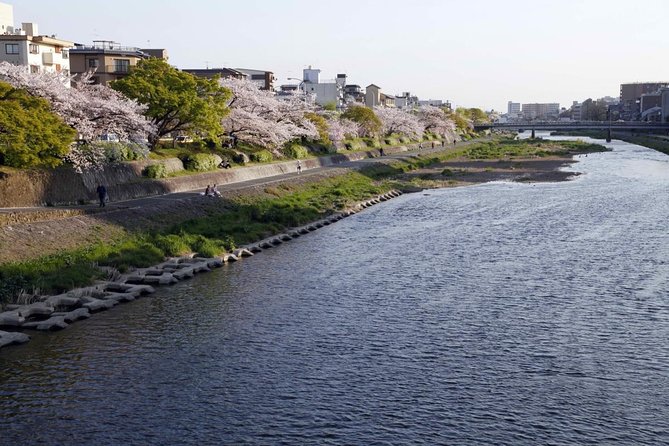 Kyoto Bar Hopping Night Tour - At a glance: what this Kyoto night includes