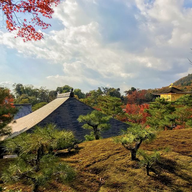 Kyoto: City Secrets eBike Tour - Geisha streets and old Kyoto lanes