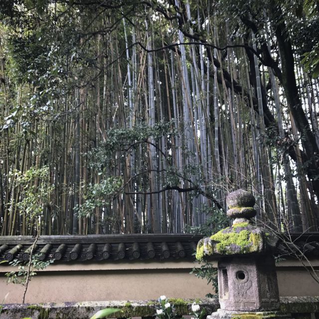 Kyoto: City Secrets eBike Tour - How difficult is the cycling?