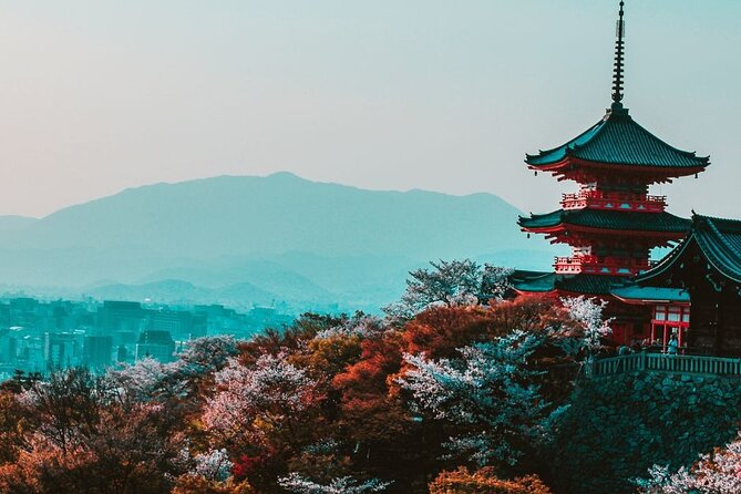 Kyoto Custom Private Walking Tour with A Guide (Private Tour) - Why a private walk can make Kyoto simpler