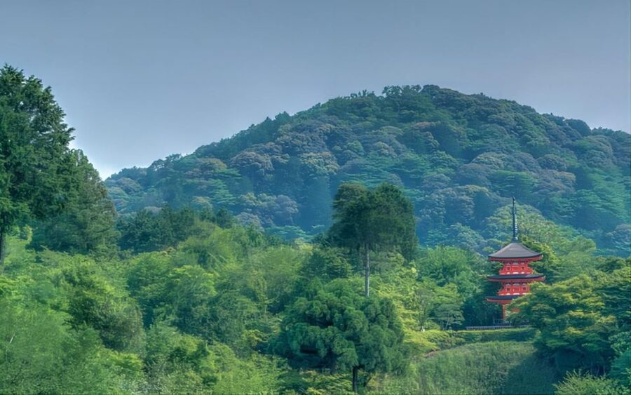 Kyoto: Customizable Full-Day Tour with Privarte Transfers - Kinkaku-ji: a famous pavilion with a focused visit