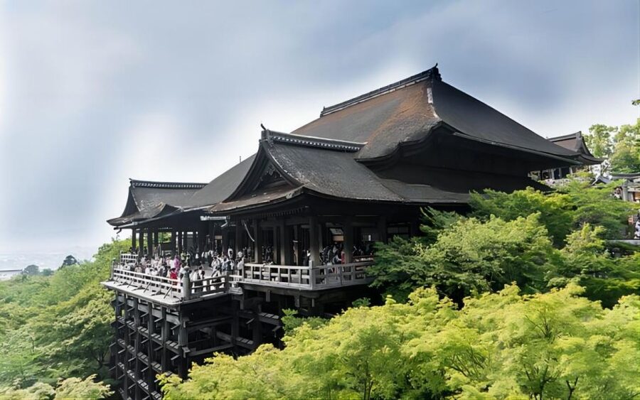 Kyoto: Customizable Full-Day Tour with Privarte Transfers - Vehicle sizes and comfort on the road