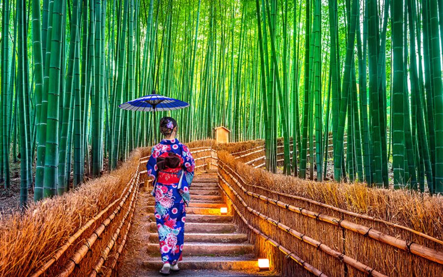 Kyoto Day Tour with Certified Tour Guide & Luxury vehicle - A useful Kyoto plan for one busy day