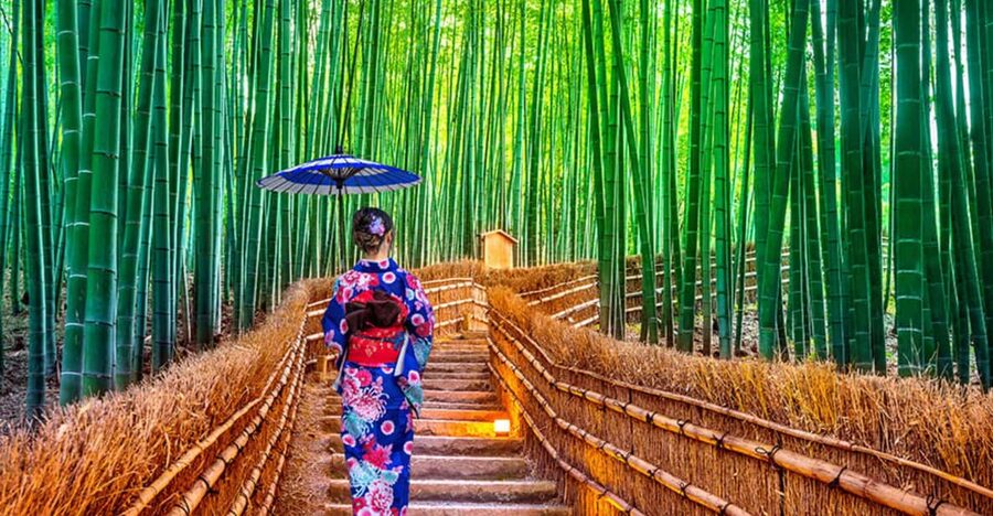 Kyoto Day Tour with Certified Tour Guide & Luxury vehicle - Arashiyama begins the day with bamboo and river scenery