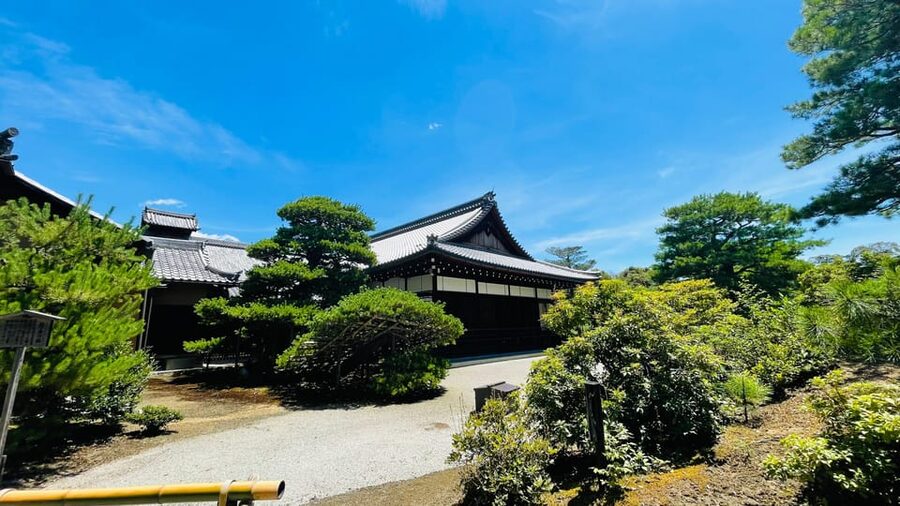 Kyoto Day Tour with Certified Tour Guide & Luxury vehicle - Nishiki Market ends the day with food and local shopping