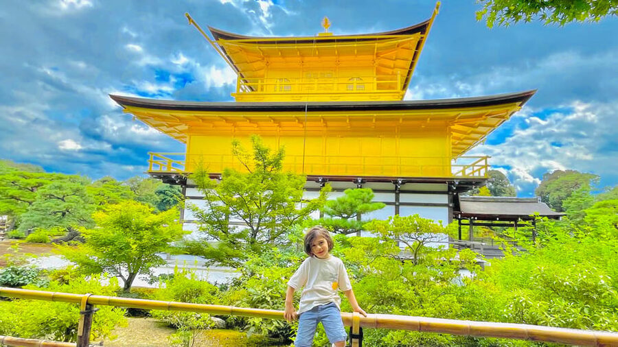 Kyoto Day Tour with Certified Tour Guide & Luxury vehicle - The private guide is the heart of the experience